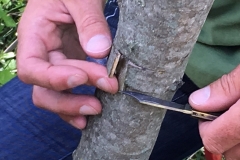 Session de formation à la Greffe