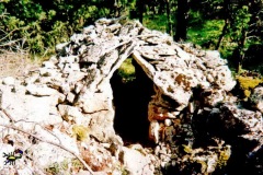 83011_C_Favas-01