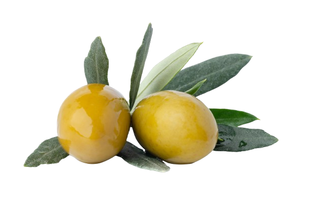 olives vertes