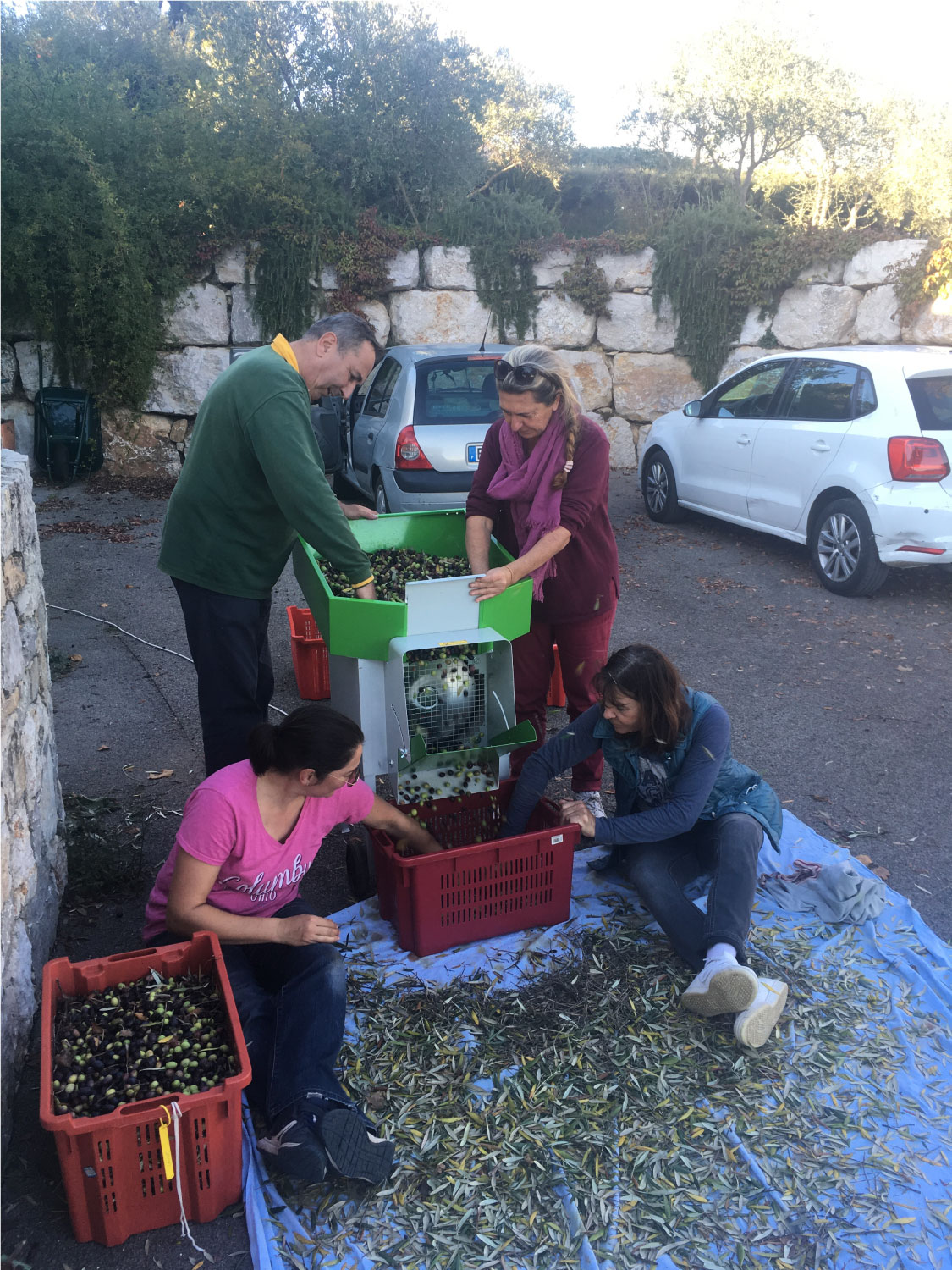 action association des oléiculteurs du pays de Fayence prêt de matériel d'oléiculture